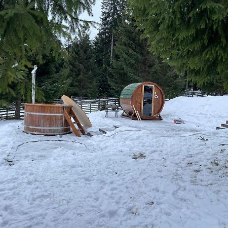 Hotel Floare De Colt Mînăstirea Humorului Exterior foto