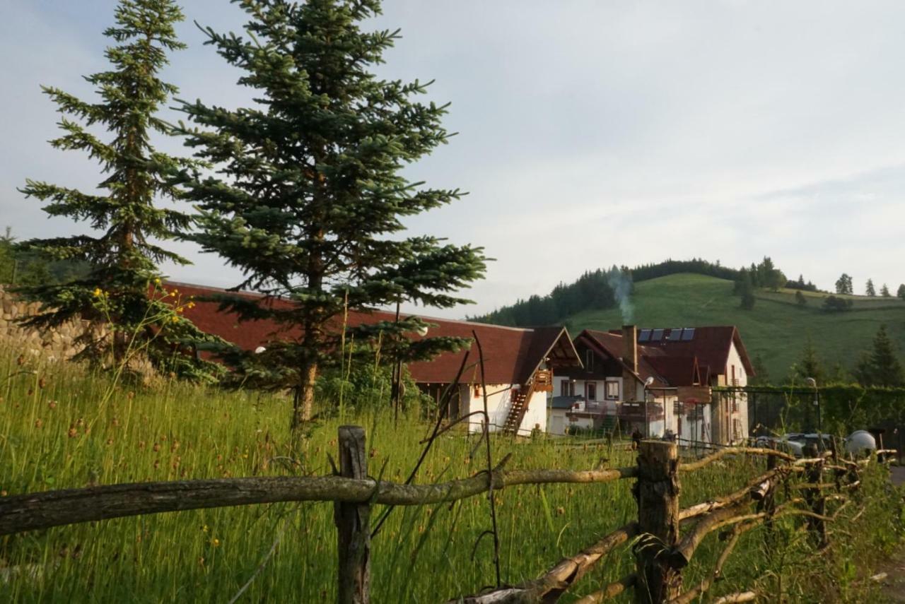 Hotel Floare De Colt Mînăstirea Humorului Exterior foto