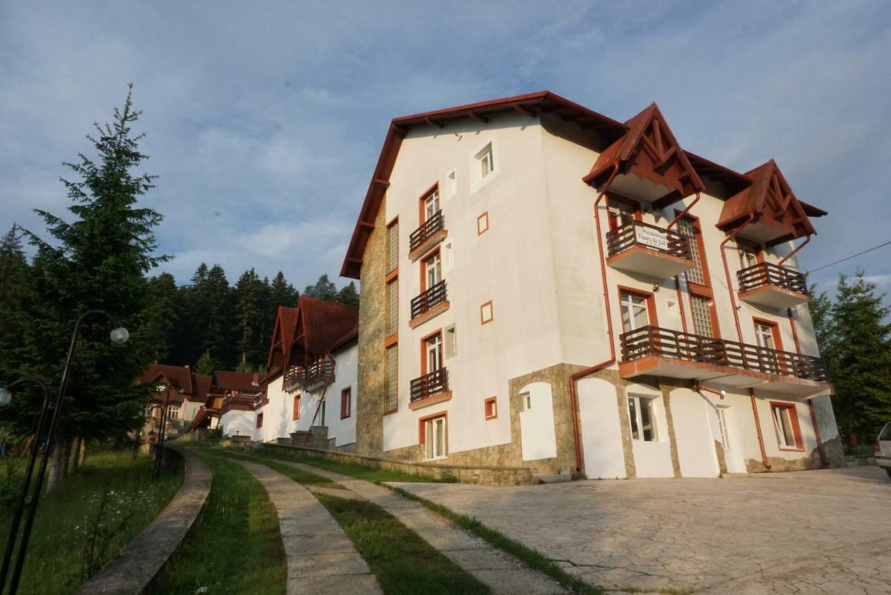 Hotel Floare De Colt Mînăstirea Humorului Exterior foto